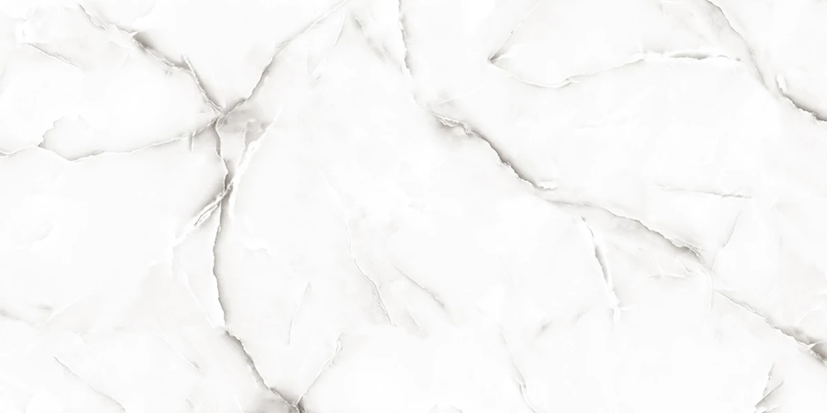 ONYX NESTER SILVER_P4