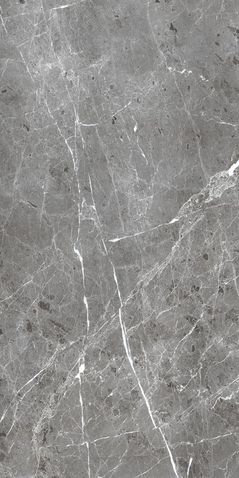 BULLBERRY GRIS_01