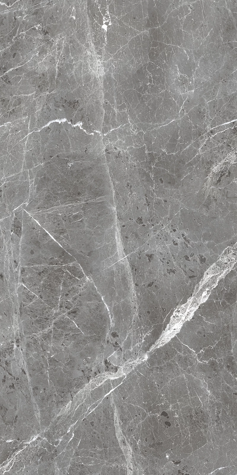 BULLBERRY GRIS_04
