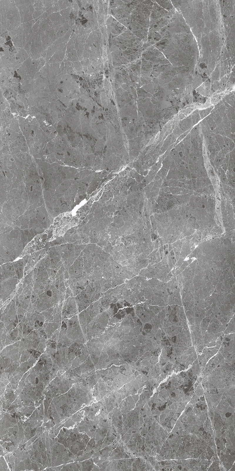 BULLBERRY GRIS_02