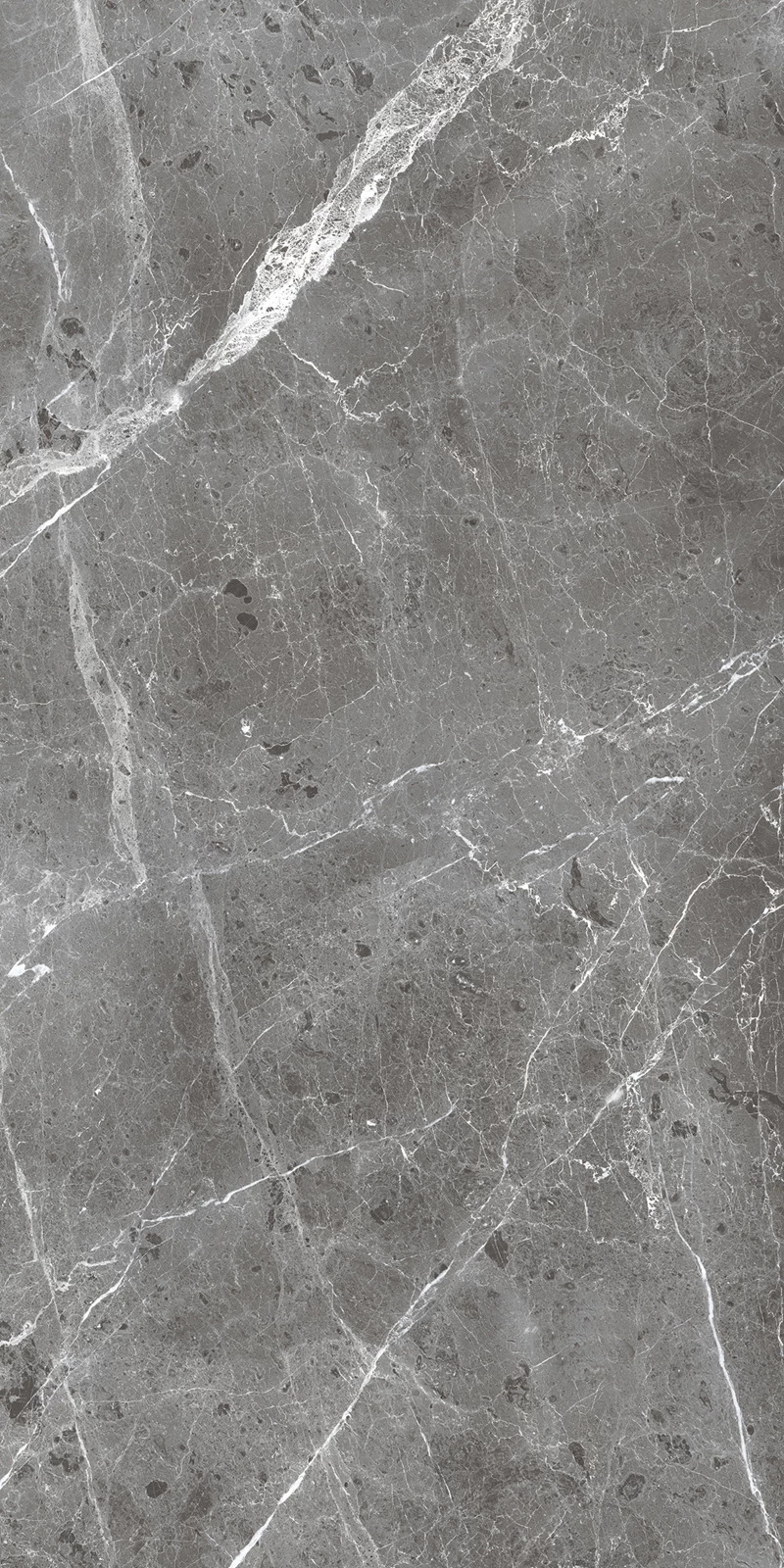 BULLBERRY GRIS_03