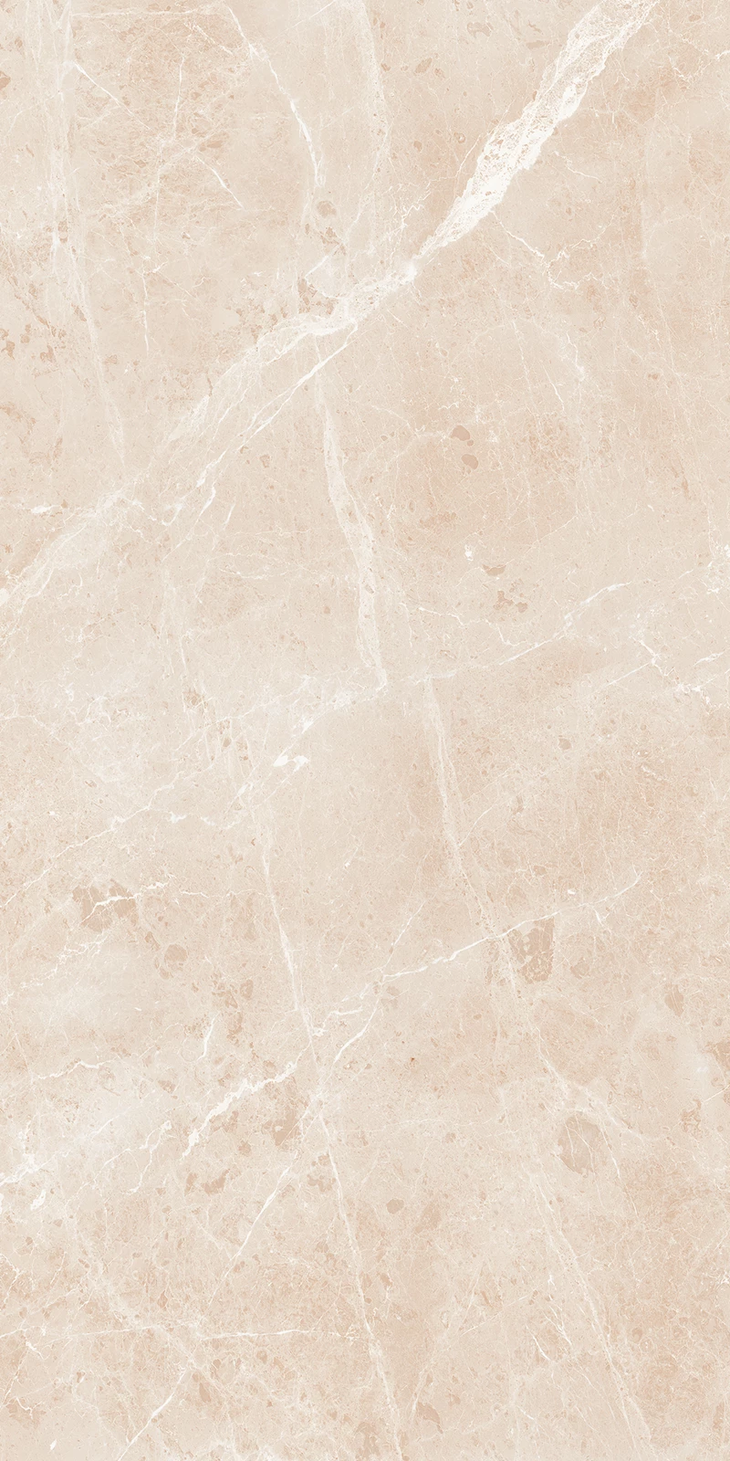 BULLBERRY BEIGE_03
