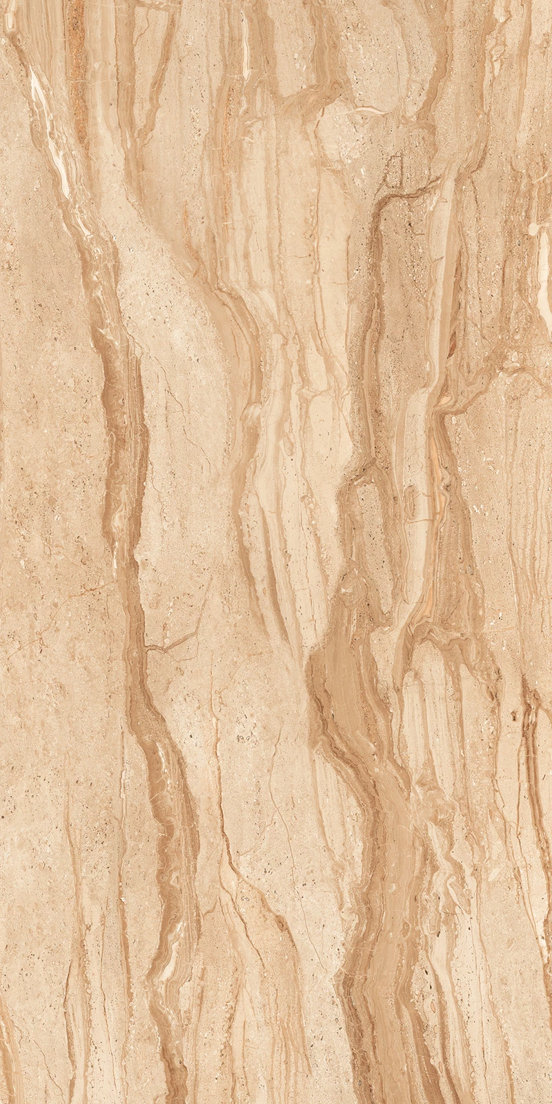 DYNA WALNUT_02
