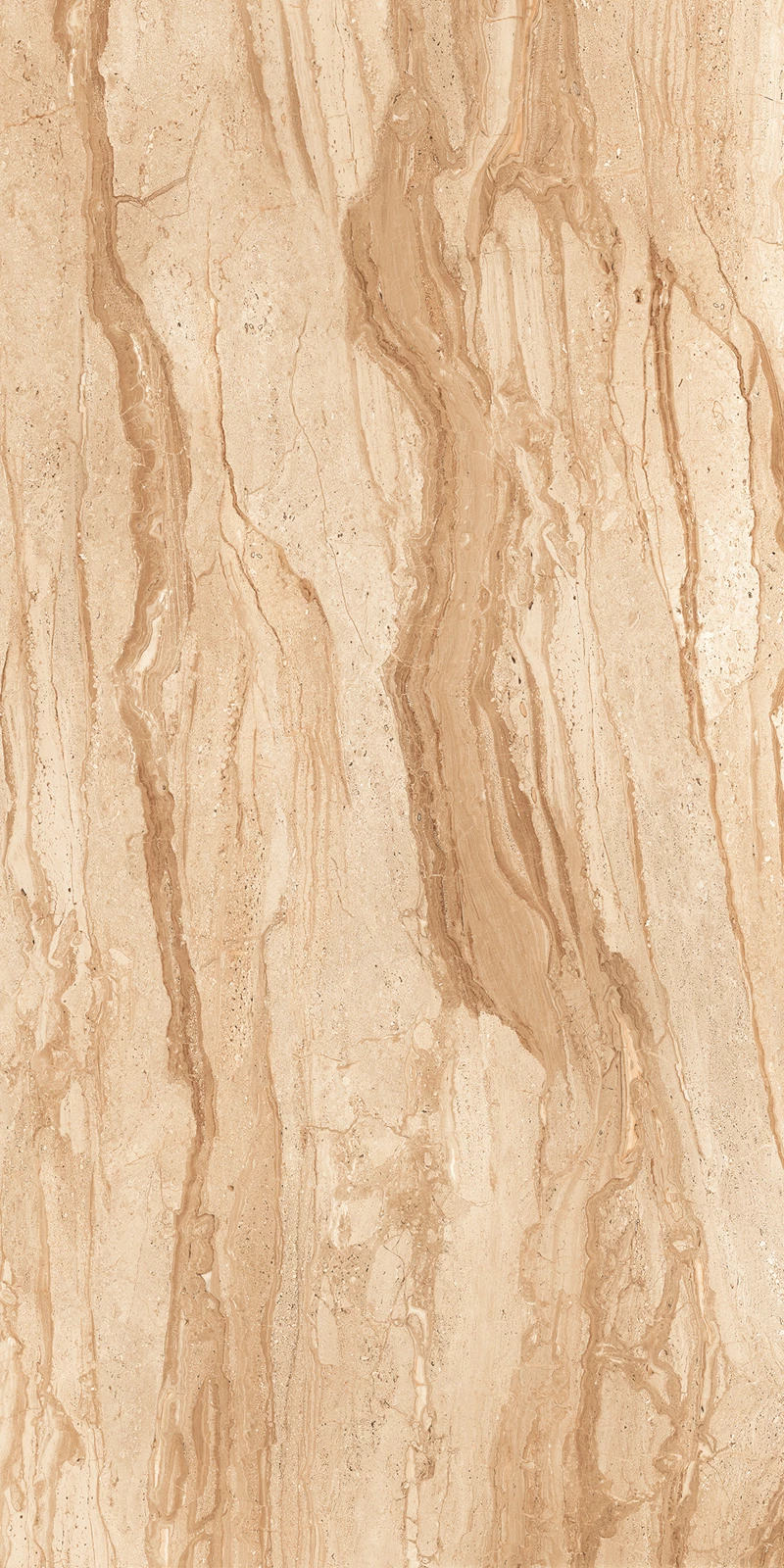 DYNA WALNUT_03