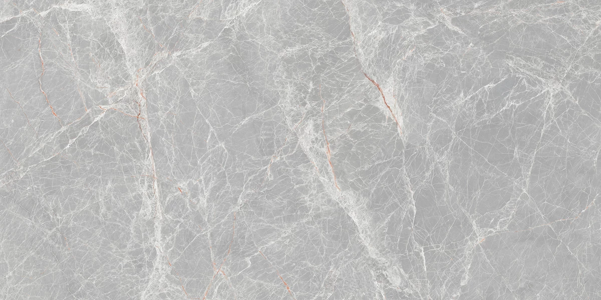 CASTOR GREY_P3