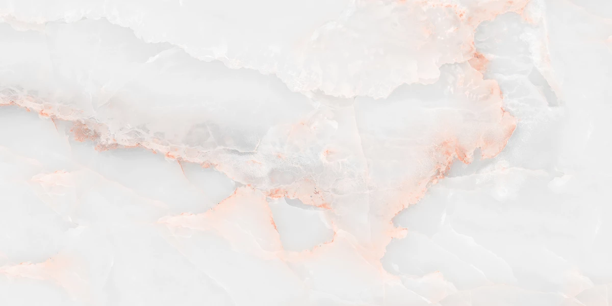 FLORIDA WHITE_P3