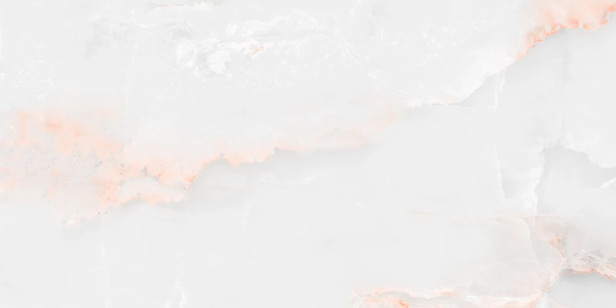 FLORIDA WHITE_P4