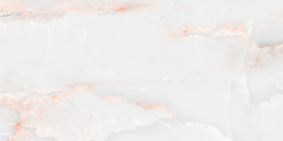FLORIDA WHITE_P2