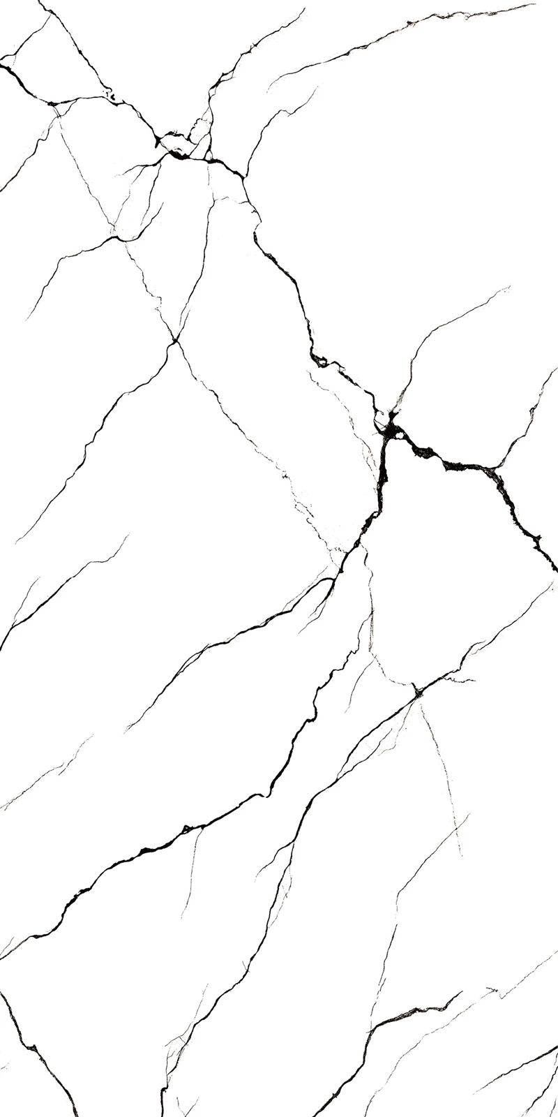 BRATVI WHITE_02