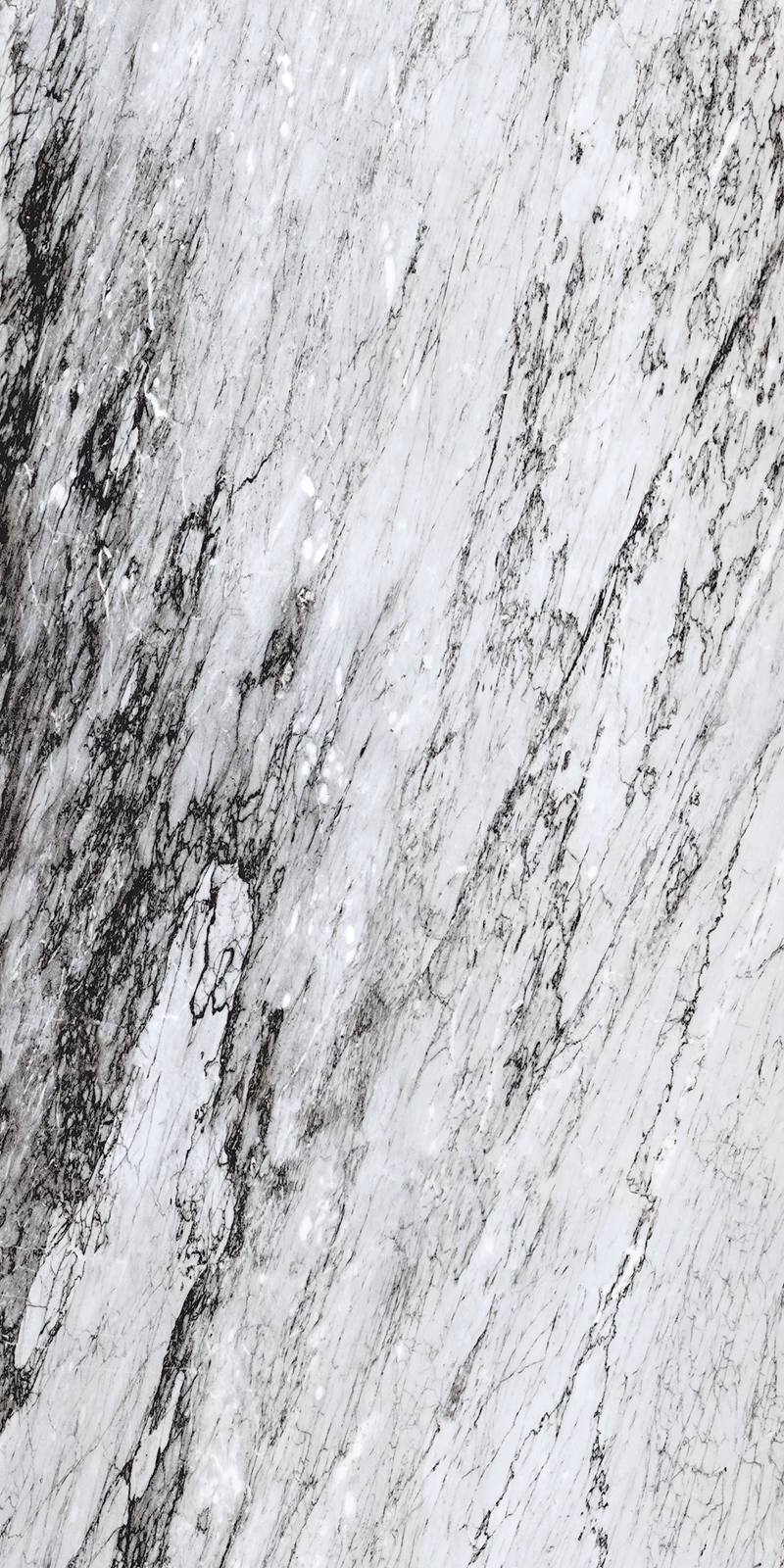 CARACUS BLACK-04