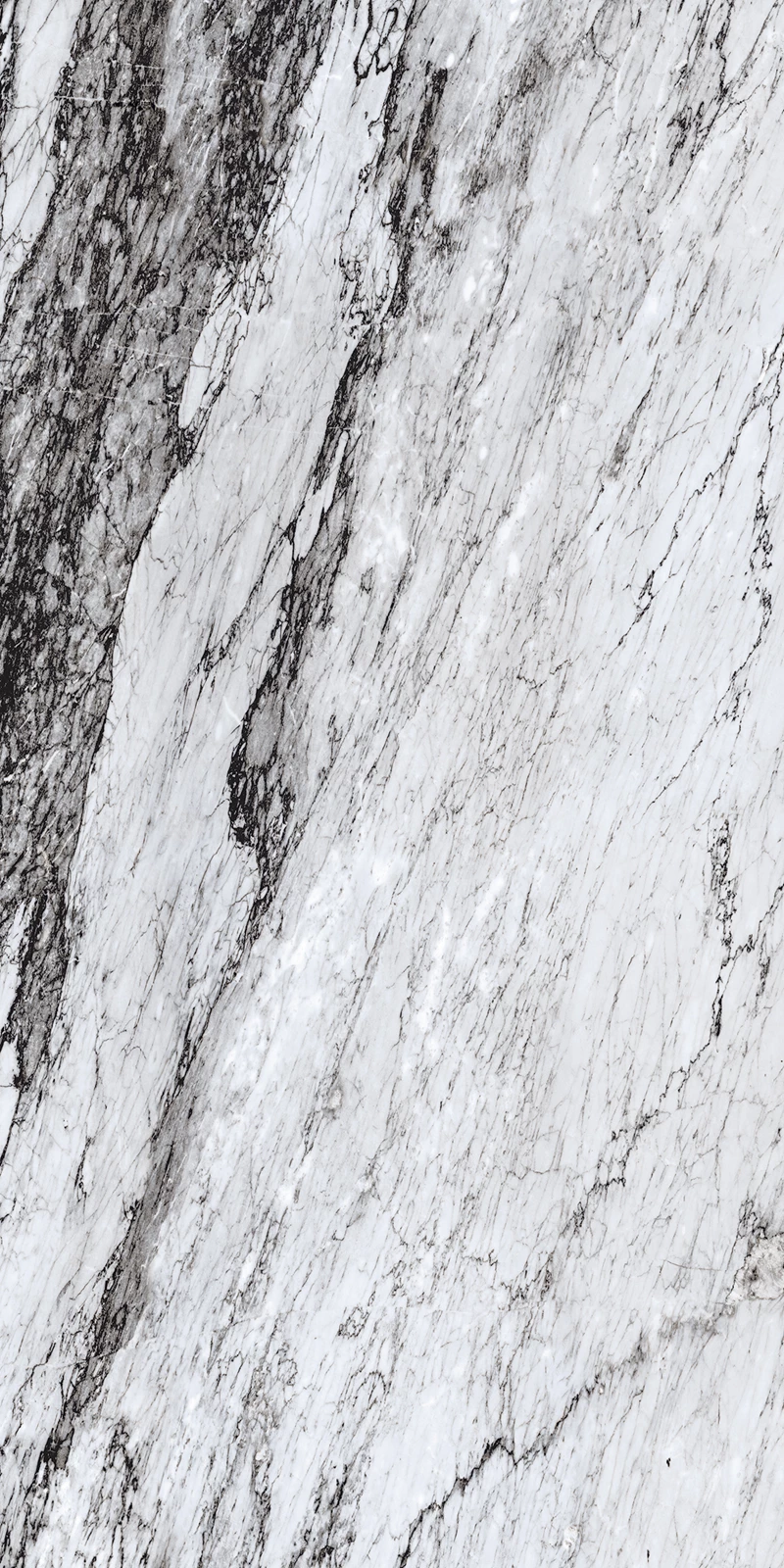 CARACUS BLACK-02