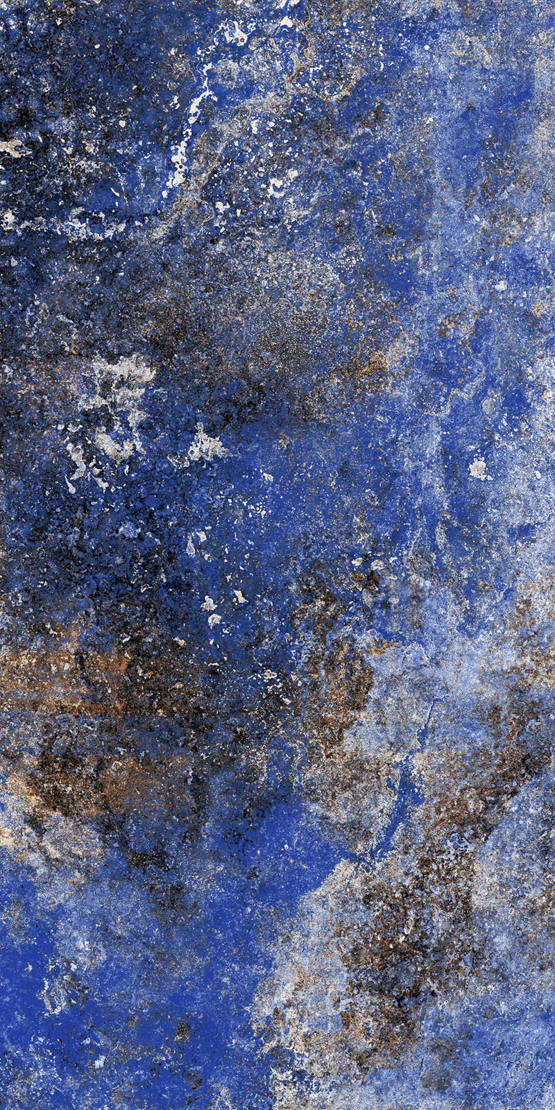 CELLOSIA BLUE_04