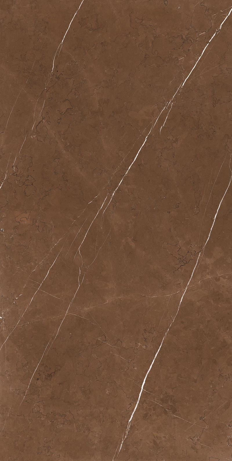 CLUSTER BROWN_03