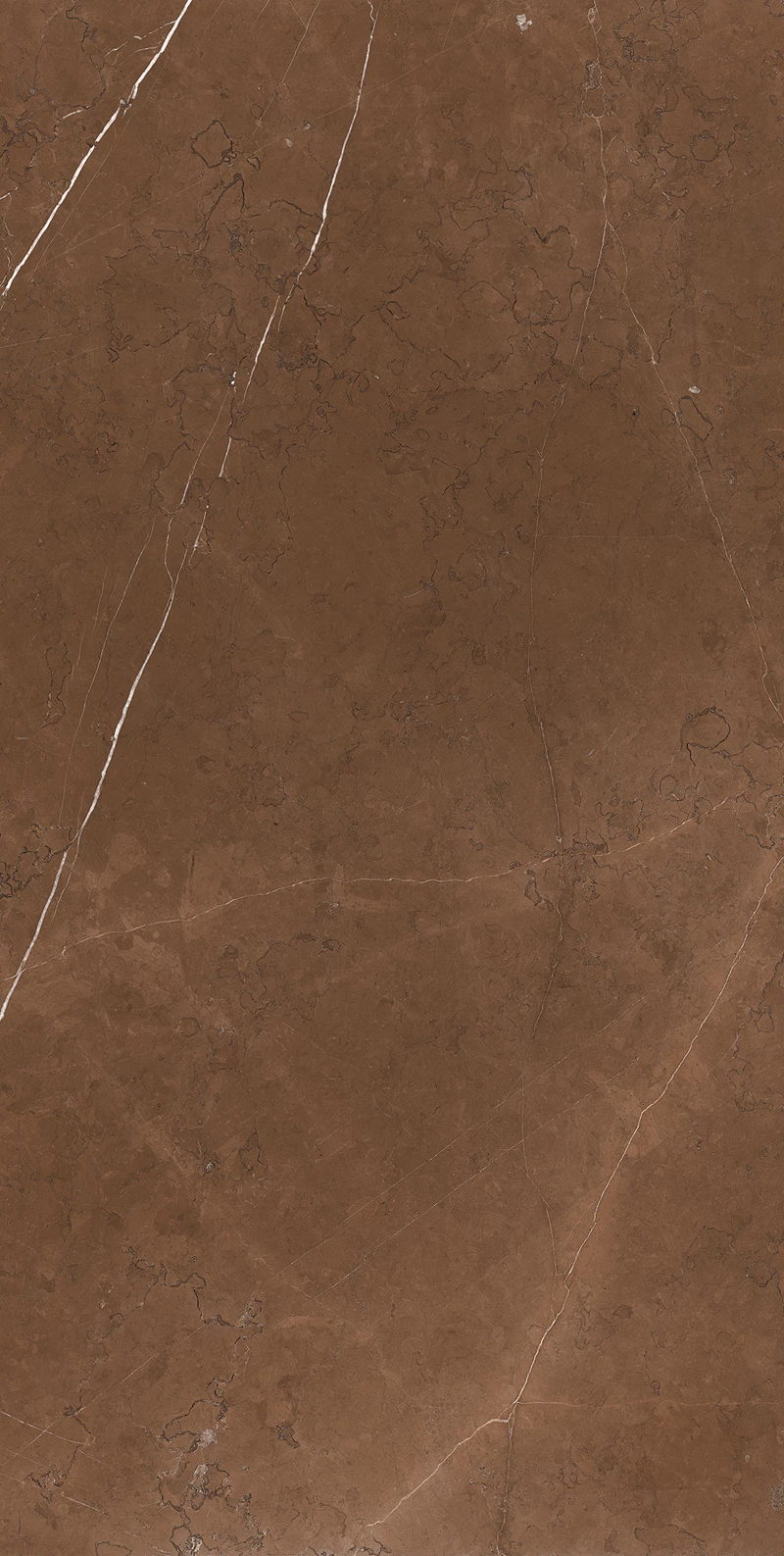 CLUSTER BROWN_02