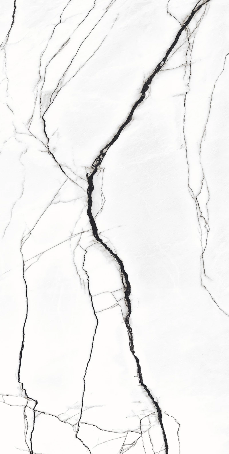 RETINA BLANCO_03