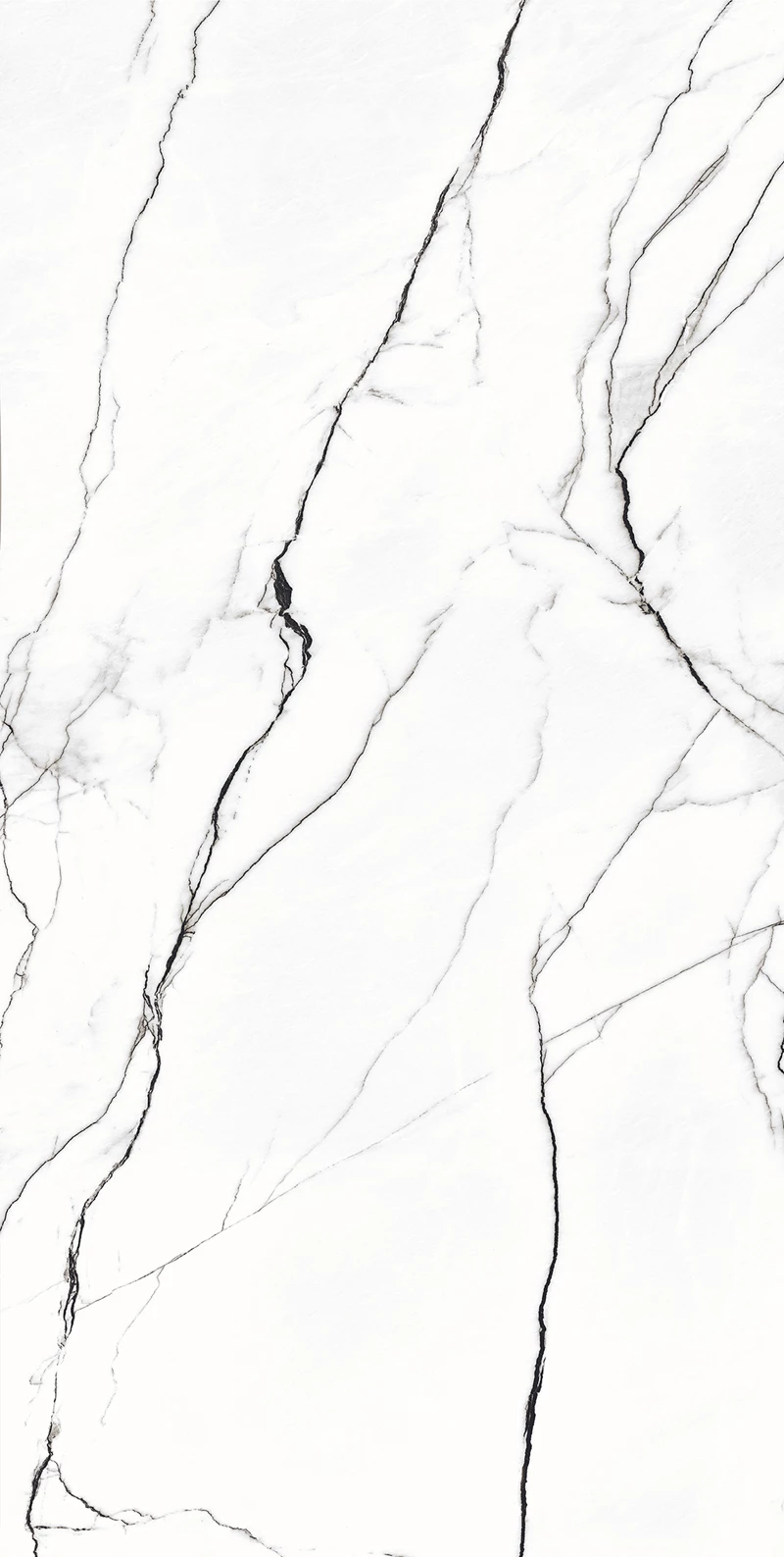 RETINA BLANCO_02