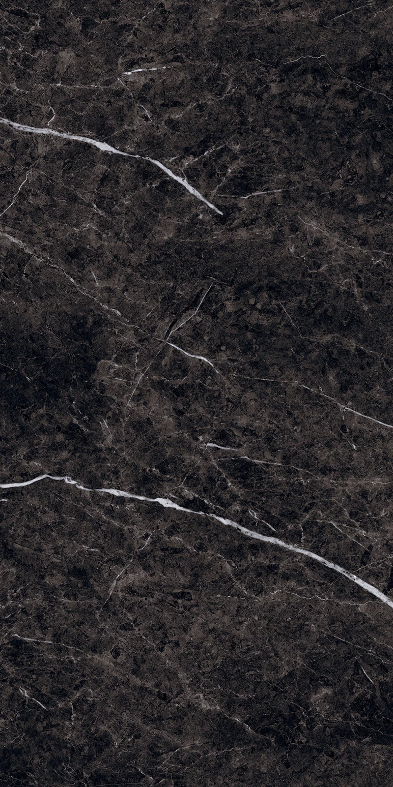 THUNDER BLACK_03