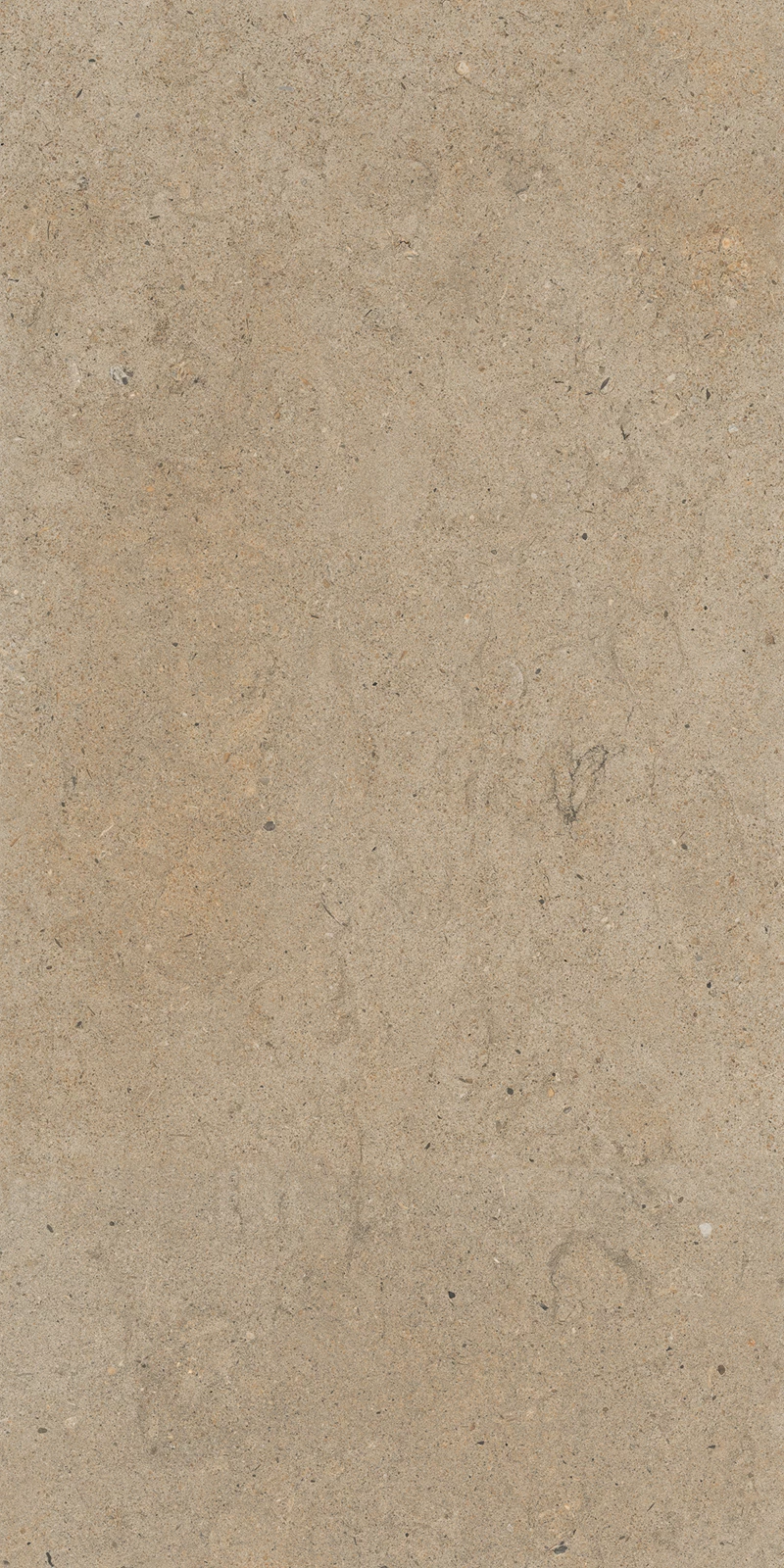 ANTICO BROWN_02