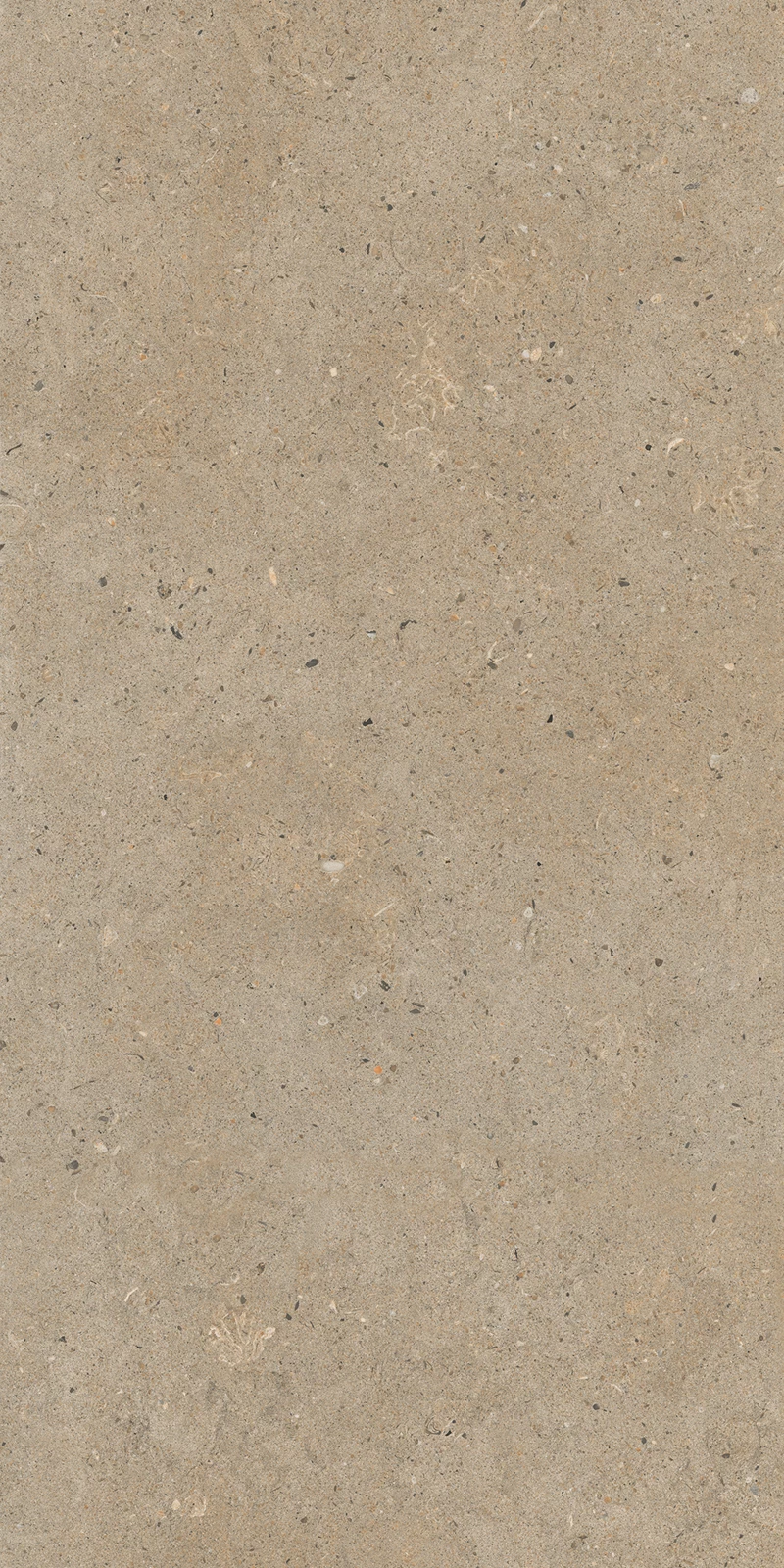 ANTICO BROWN_04