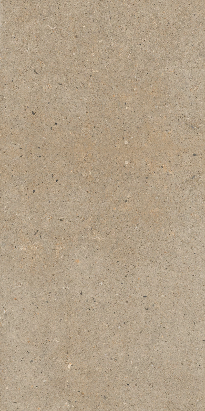 ANTICO BROWN_03