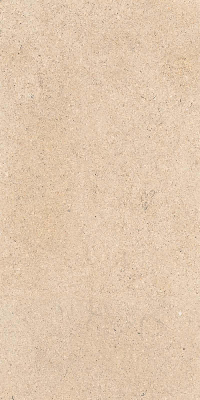 ANTICO FENTA_02