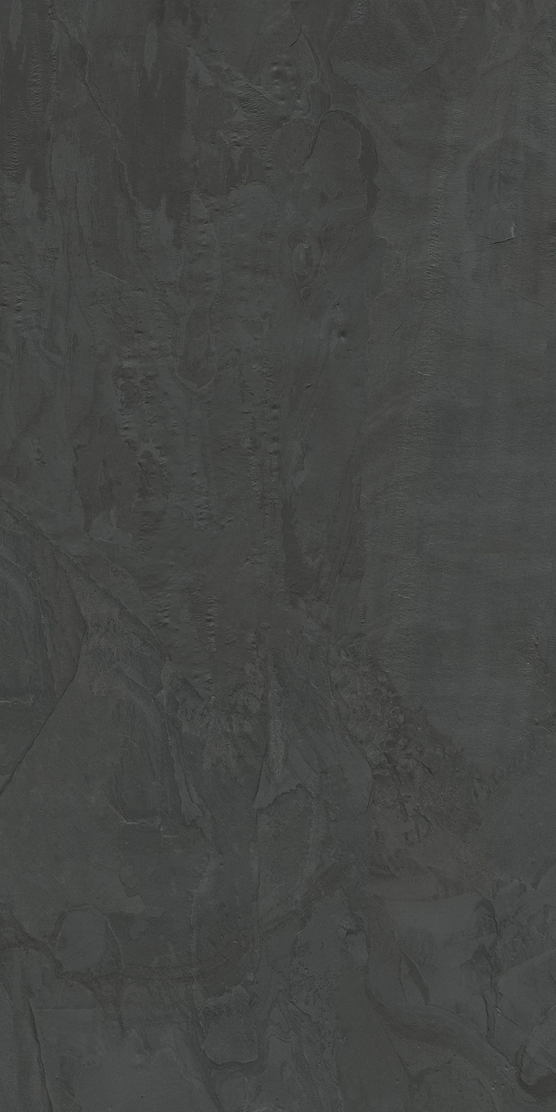 STONIS GRIS-02
