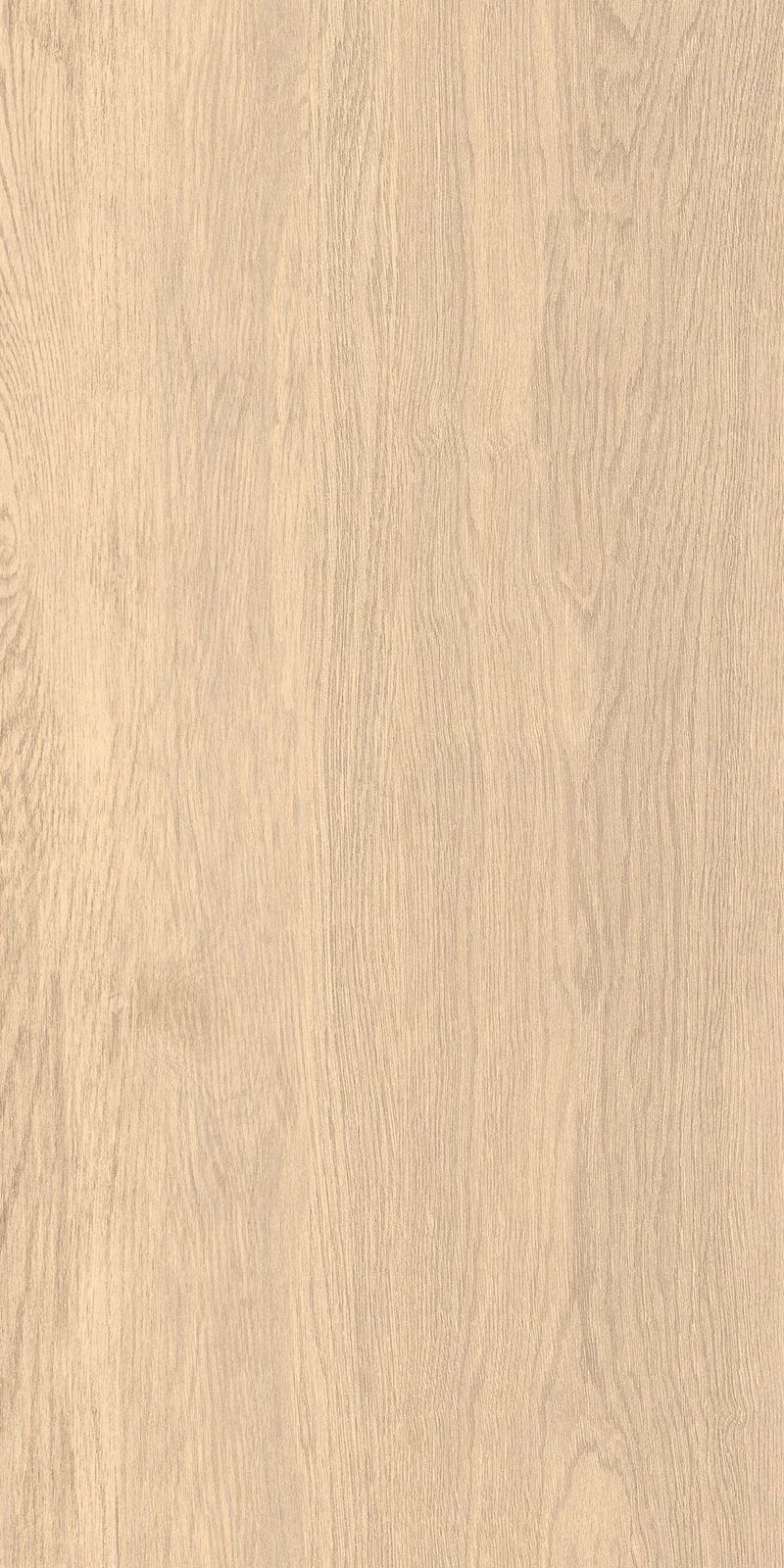 WALLNUT light_02
