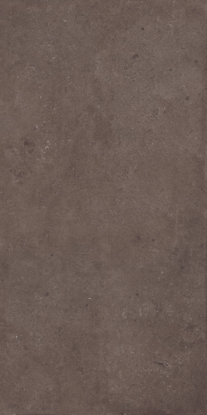GALACTIC BROWN_02