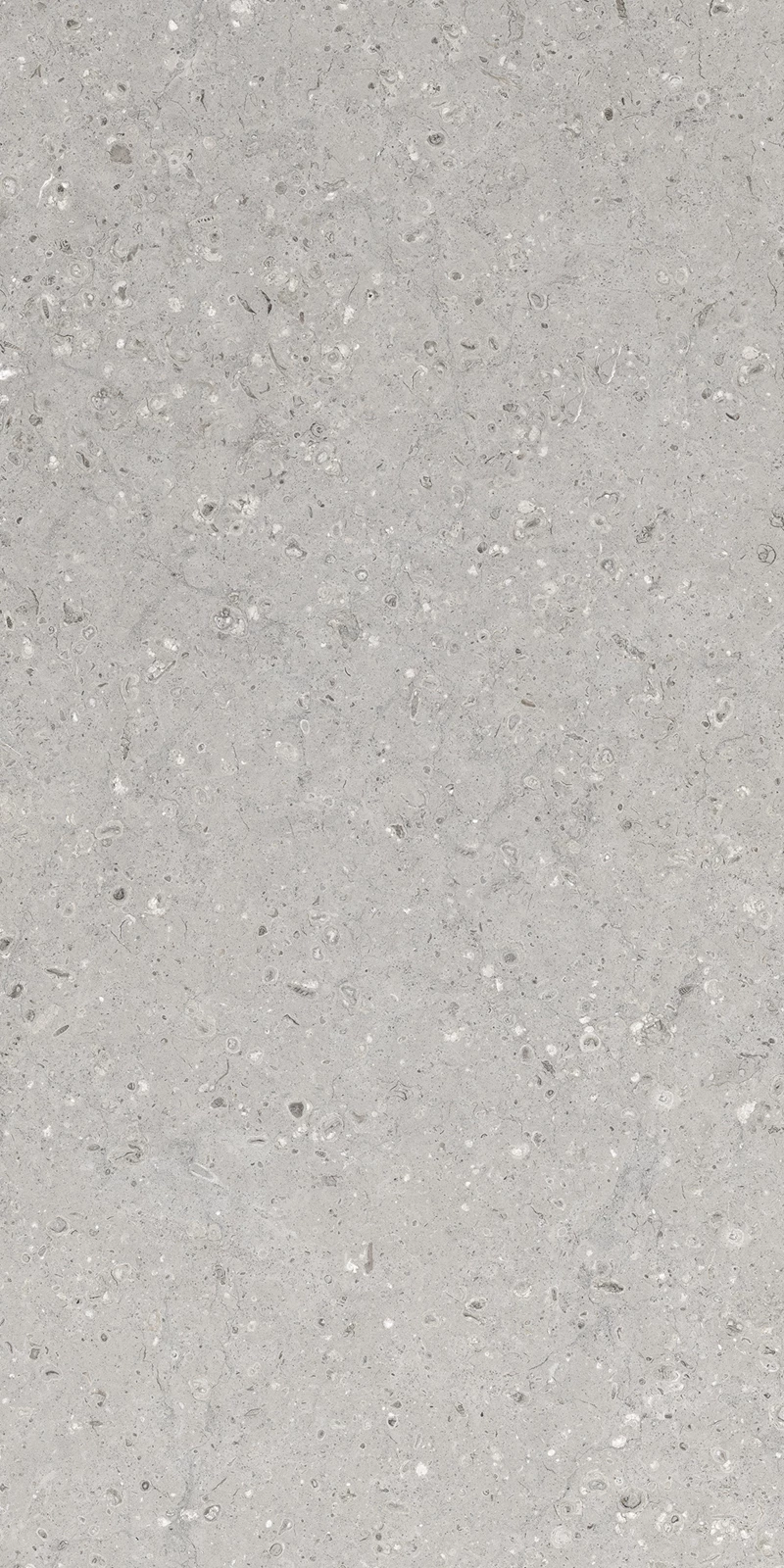 MOZECO GREY_04