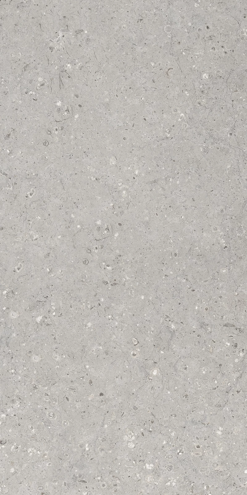 MOZECO GREY_02