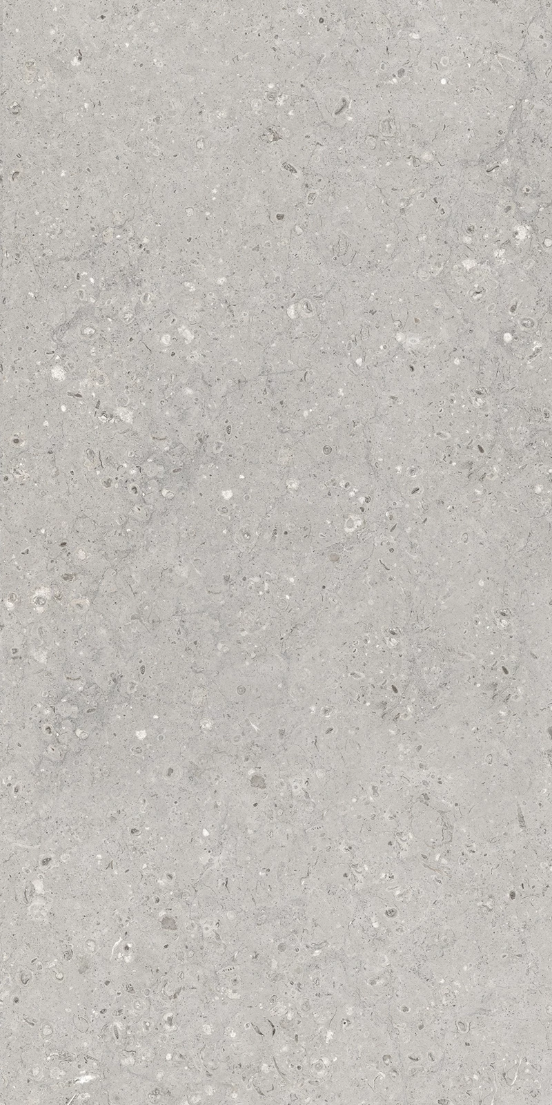 MOZECO GREY_03