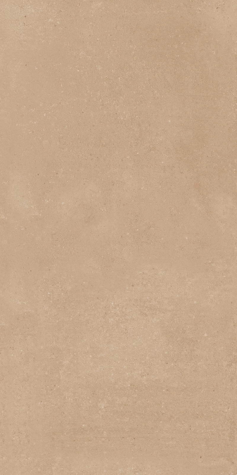 ROAST BEIGE_02