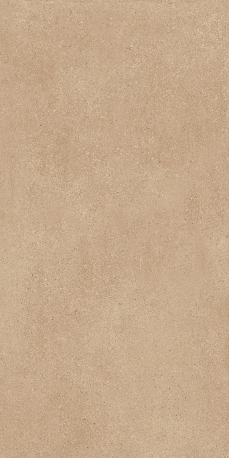 ROAST BEIGE_03