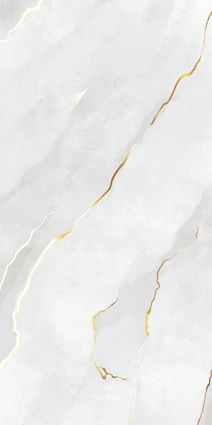 SP- HG_0528_P3