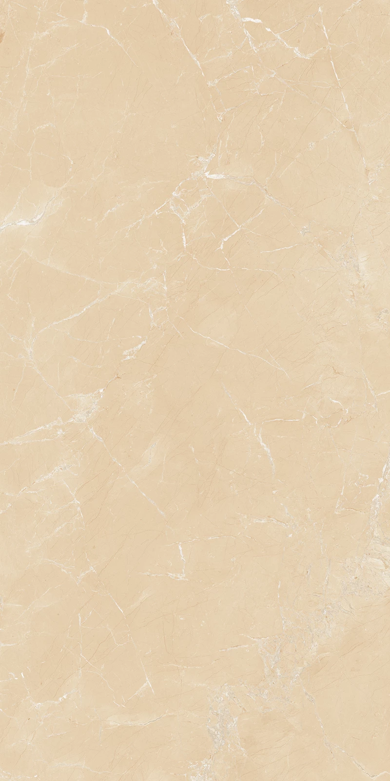 FOREST IVORY_03