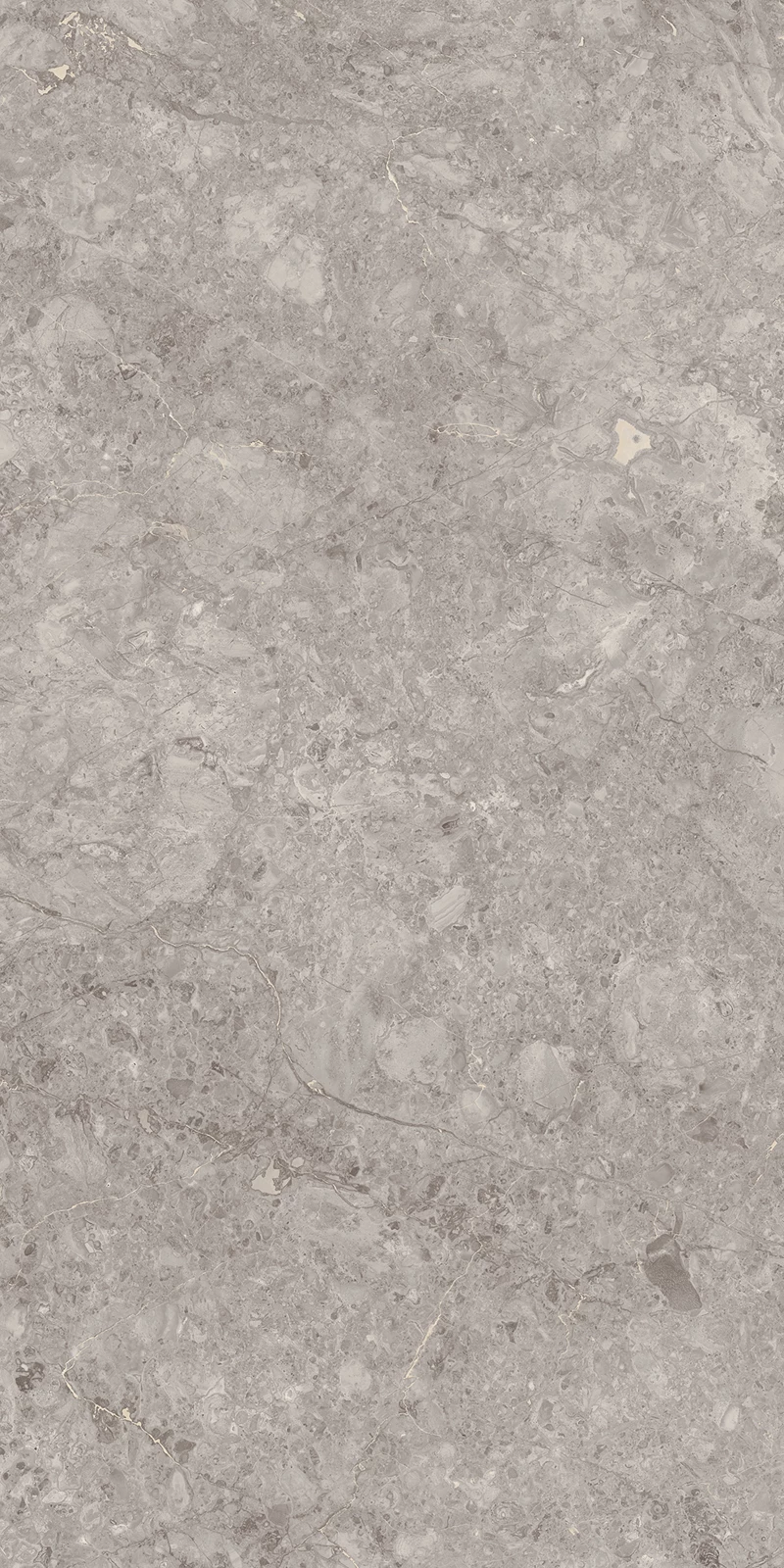 GREY WILLIUM_02