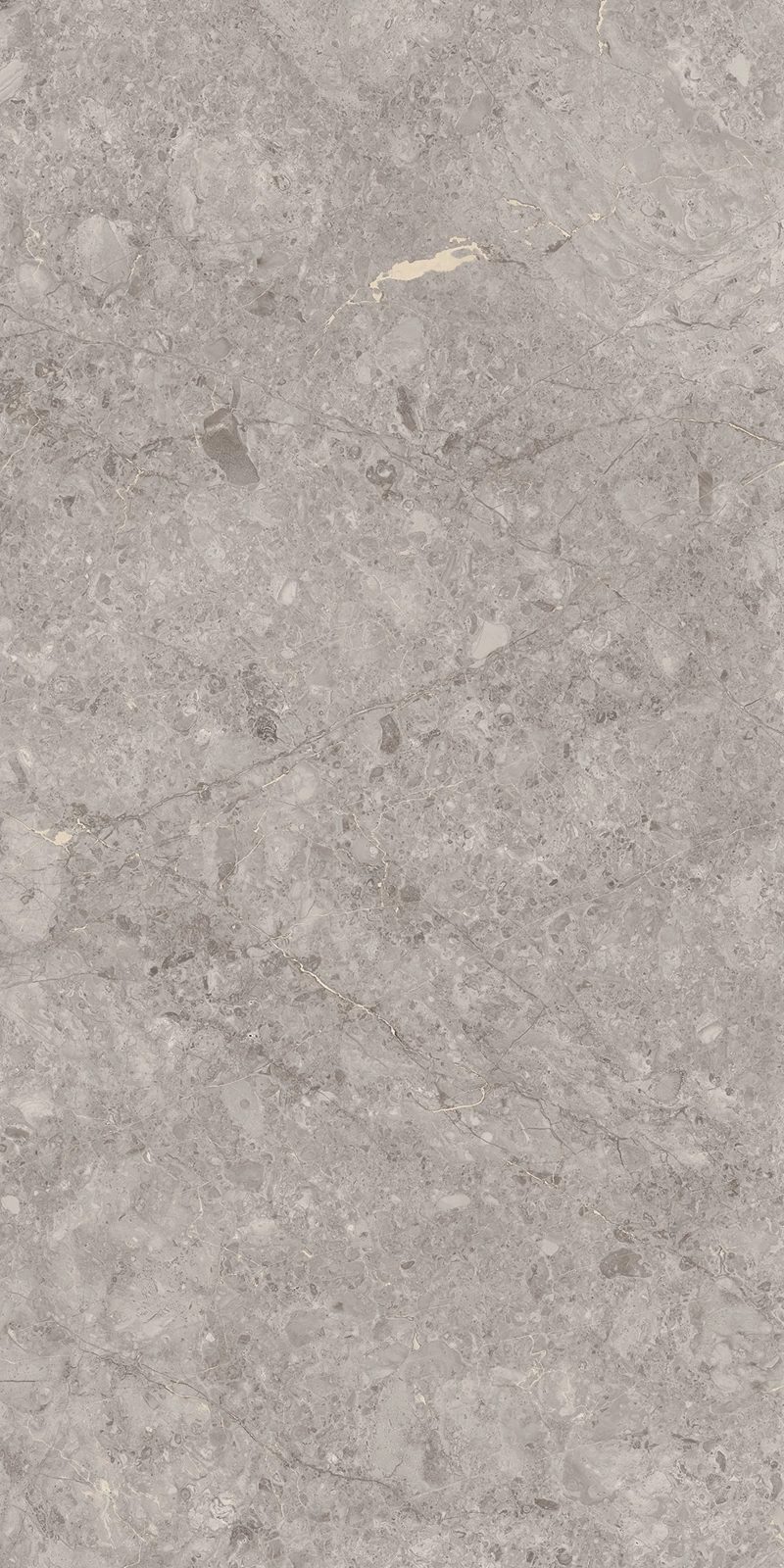 GREY WILLIUM_04