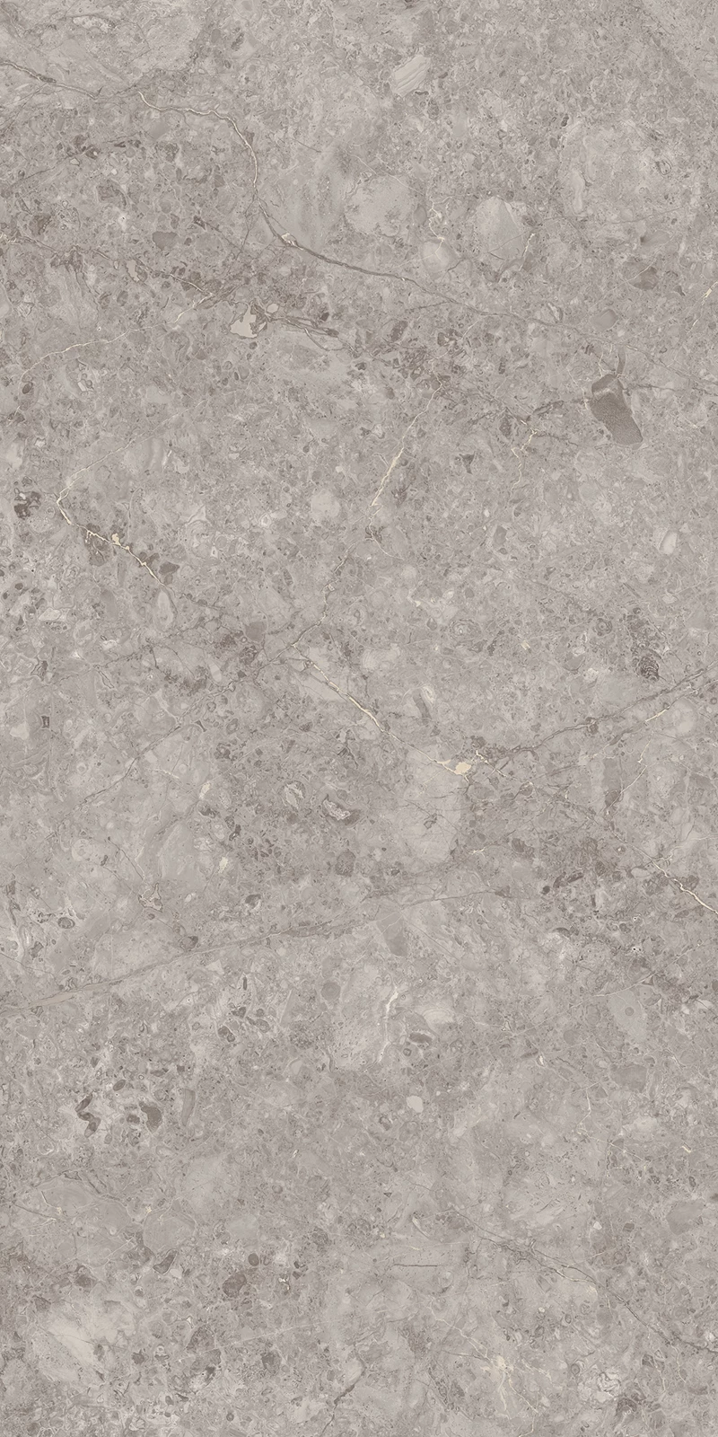 GREY WILLIUM_03