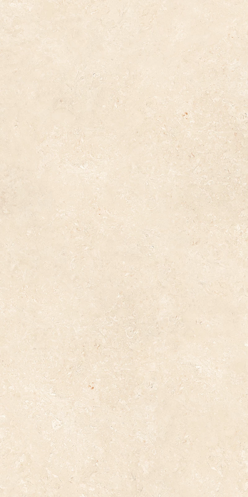 HEXA IVORY_02