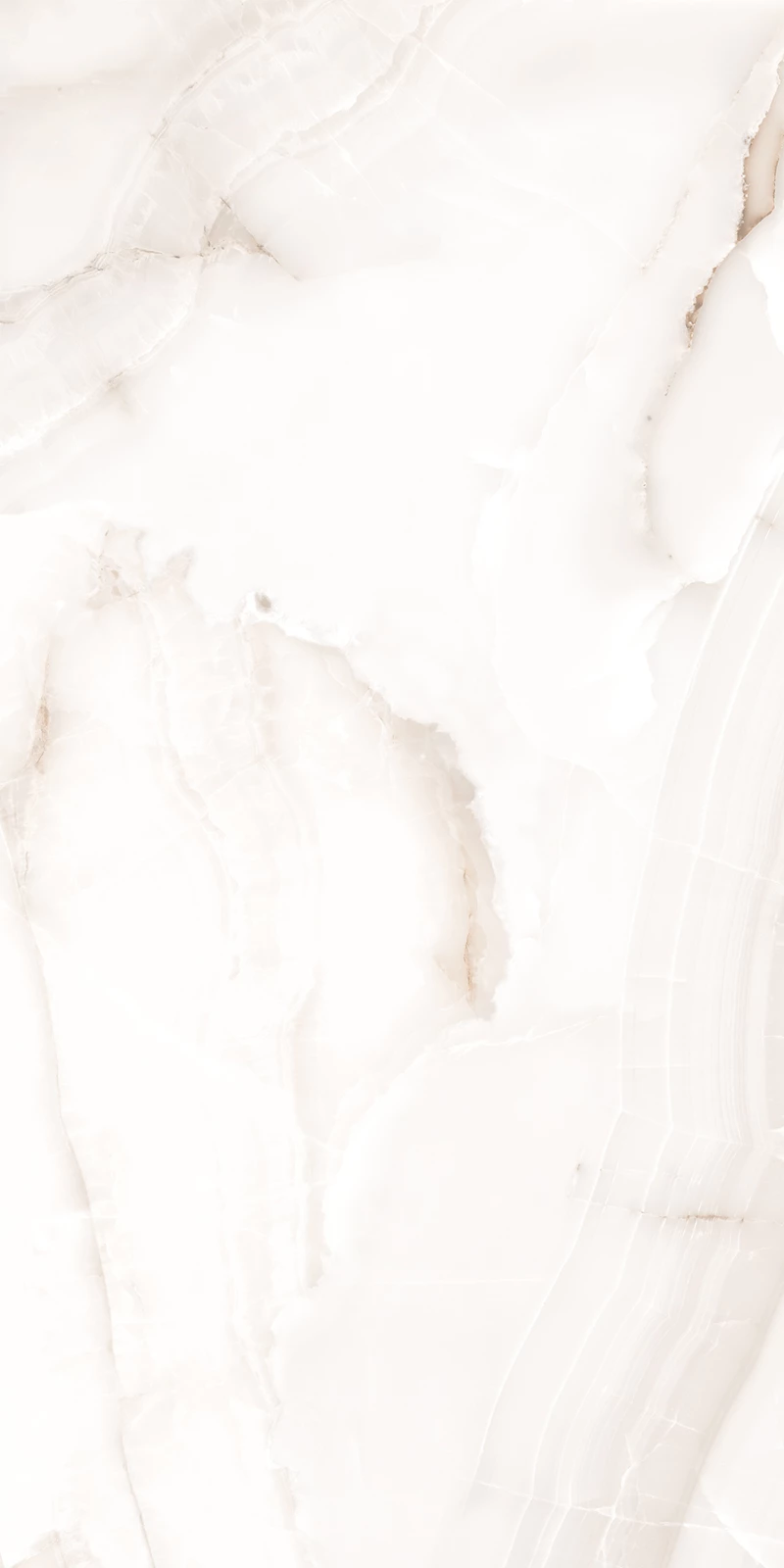 HIMALIYA WHITE_02