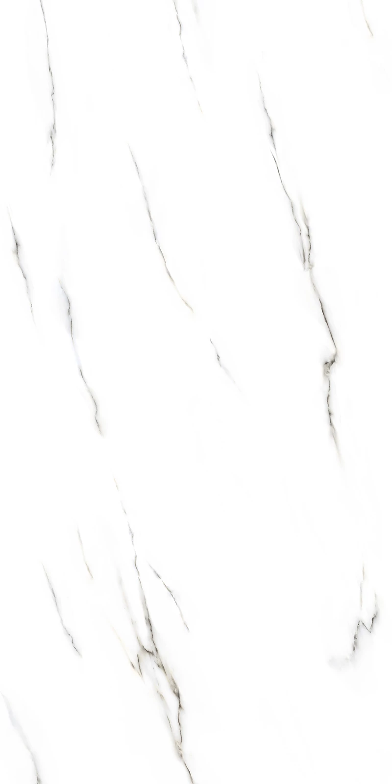 MANGUS WHITE_03