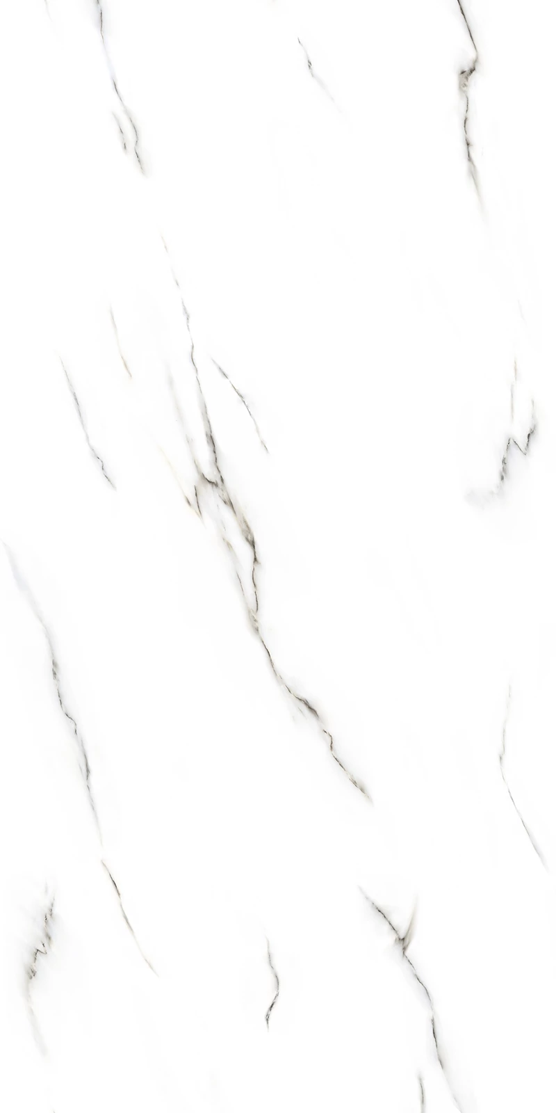 MANGUS WHITE_02