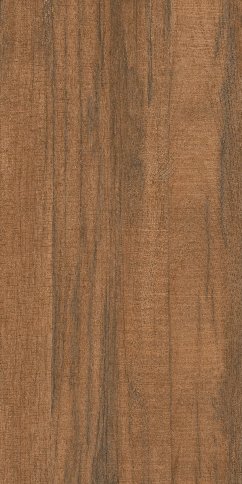 CAM WOOD BROWN_02