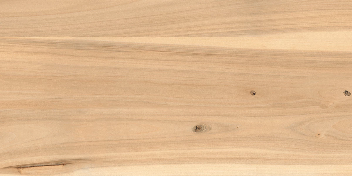 ASH WOOD CREMA _P3