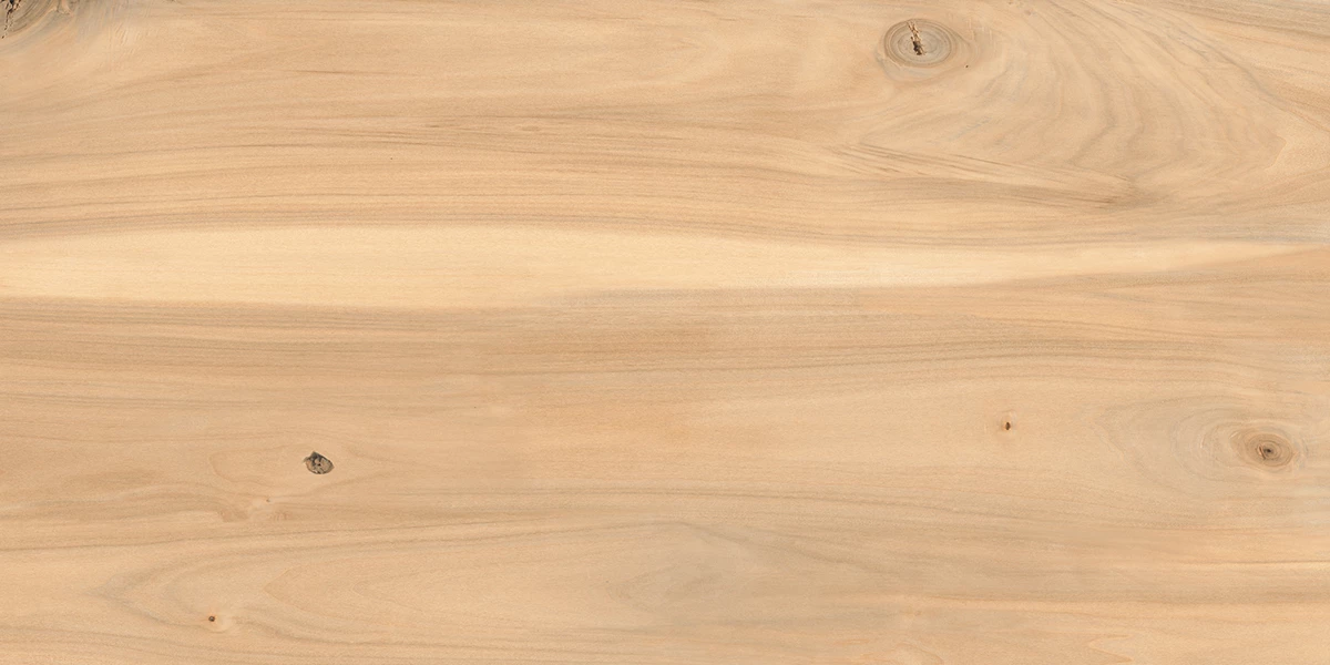 ASH WOOD CREMA _P2