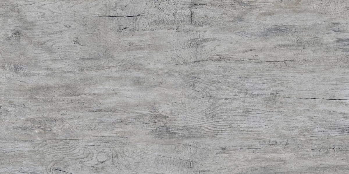 FOREST GREY_P2