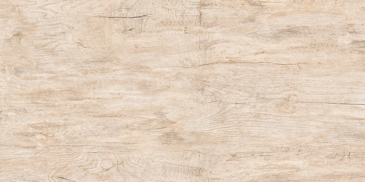 FOREST IVORY _P2