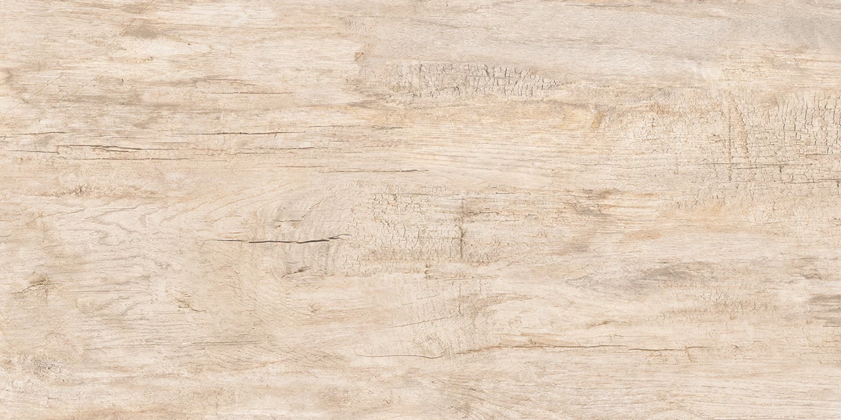 FOREST IVORY_P4