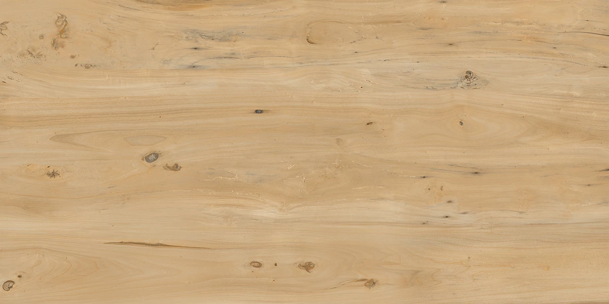 TEAK WOOD  IVORY _P2 copy