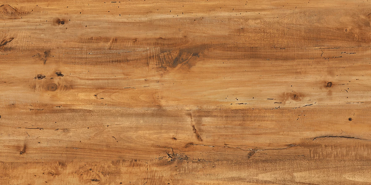 PALLADIUM BROWN_p3 